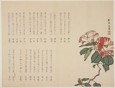 Flowering Camellia, c.1818-1829 by Hyakuj